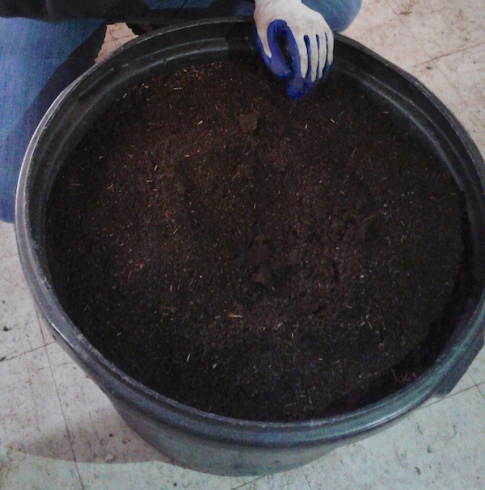 finished vermicompost