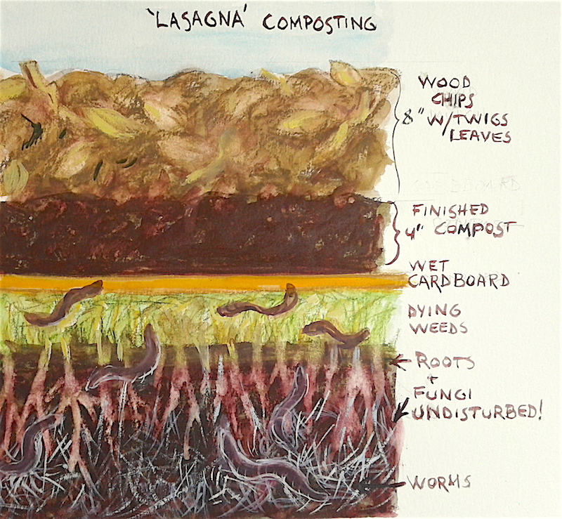 lasagna composting copy
